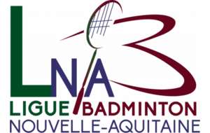Volants de badminton plumes RSL Grade 4 - BCG 23, Badminton club Guérétois,  Creuse, Guéret, limousin, sport